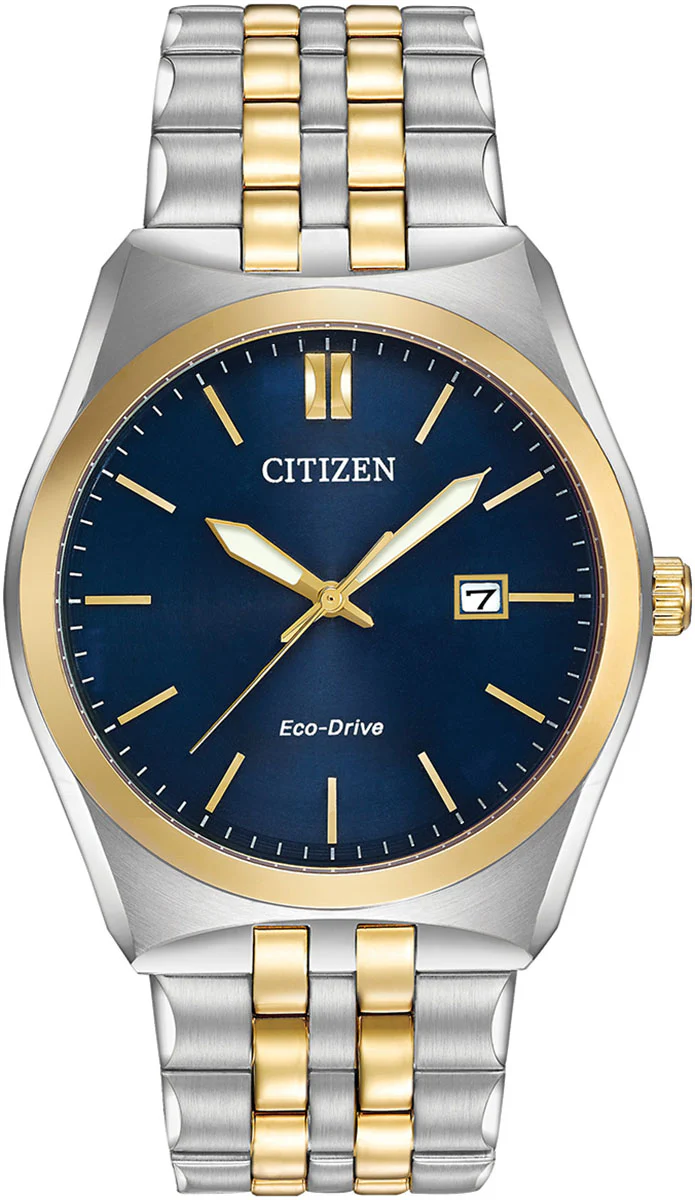 Citizen Bracelet Eco Drive Mens Watch