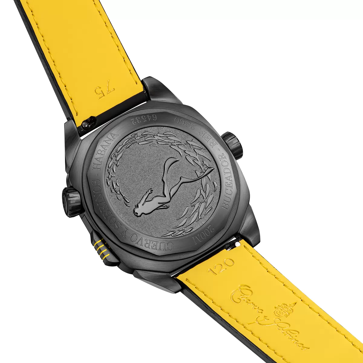 Cuervo y Sobrinos Buceador Caribe Watch - Image 4