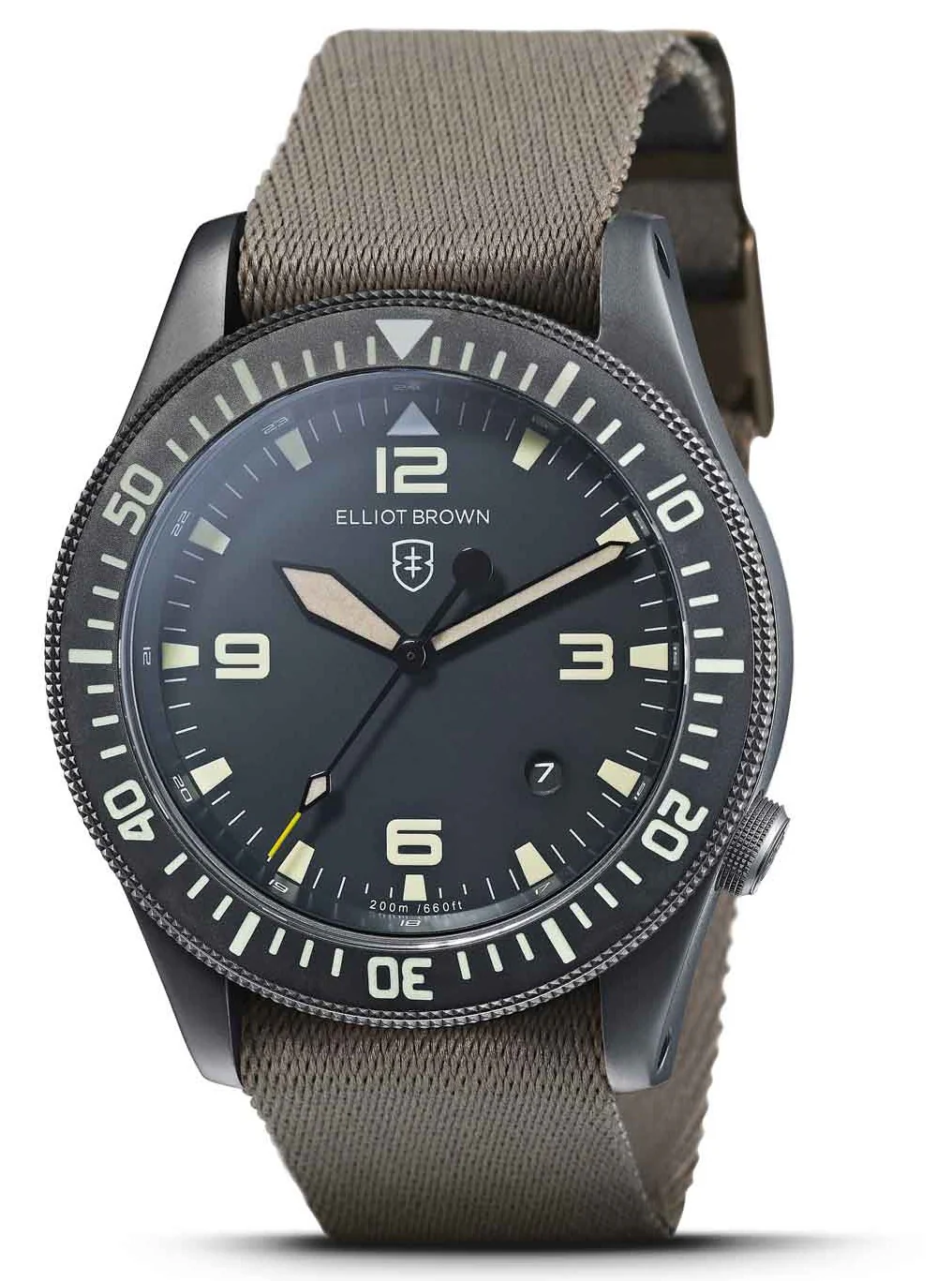 Elliot Brown Holton NIVO