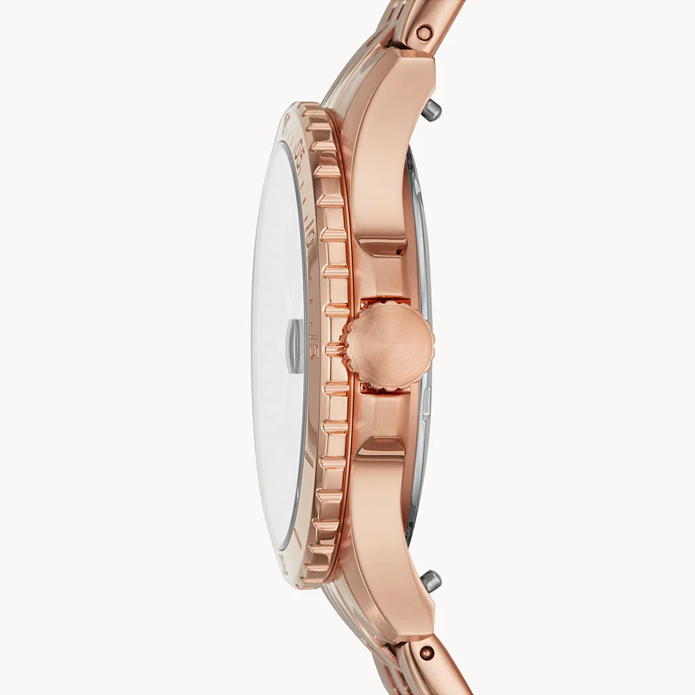 Fossil Watch Fb-01 Ladies - Image 2