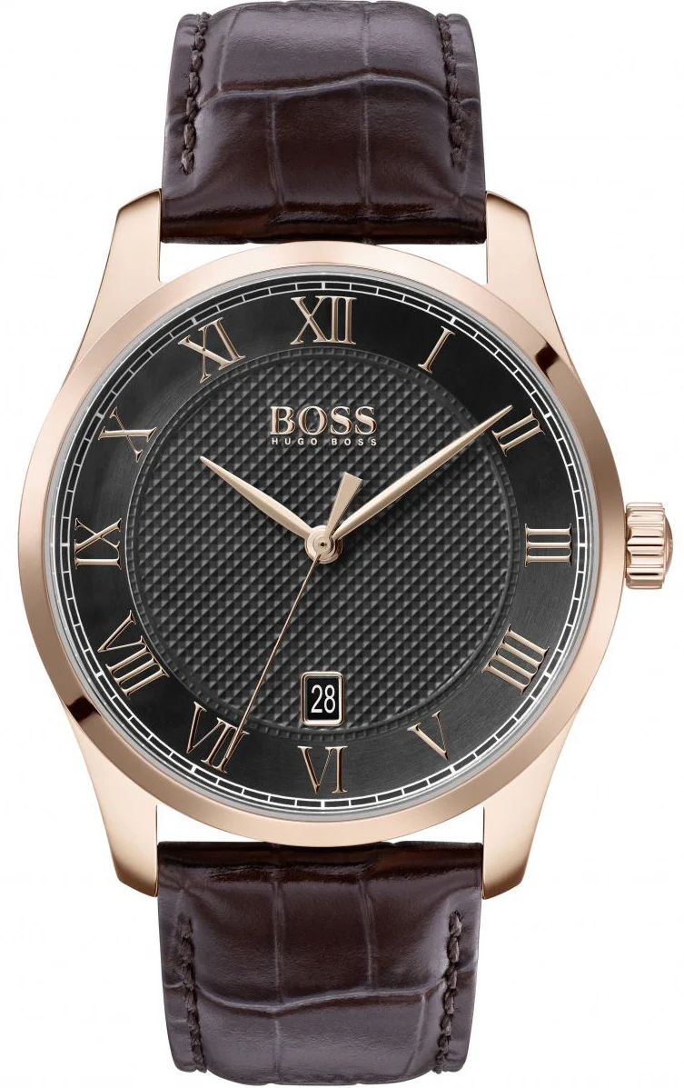 Hugo Boss Watch Master Mens D