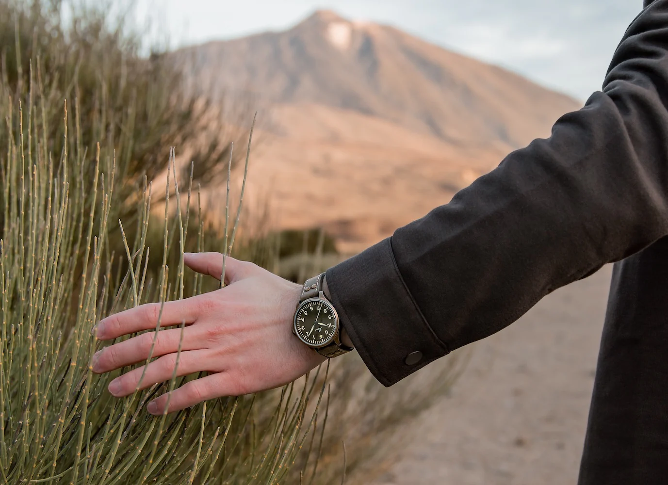 Laco Watch Augsburg Olive 39 Limited Edition - Image 2