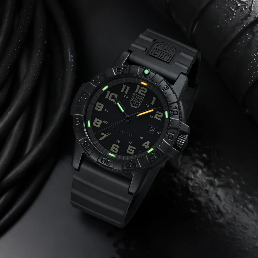 Luminox Leatherback Sea Turtle Giant 0320 Series Watch - Image 5