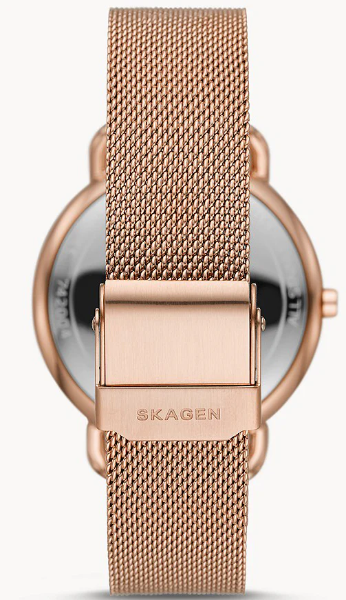 Skagen Watch Horizont Ladies - Image 2