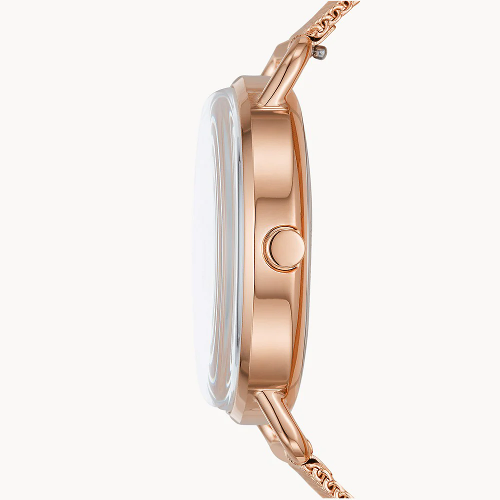 Skagen Watch Horizont Ladies - Image 3