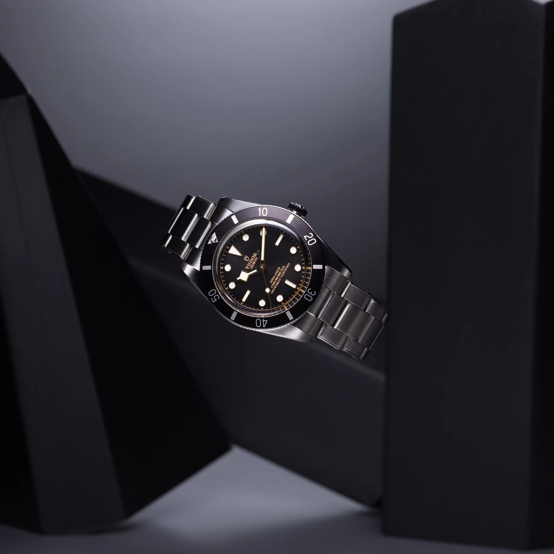 TUDOR Black Bay 54 Watch - Image 2